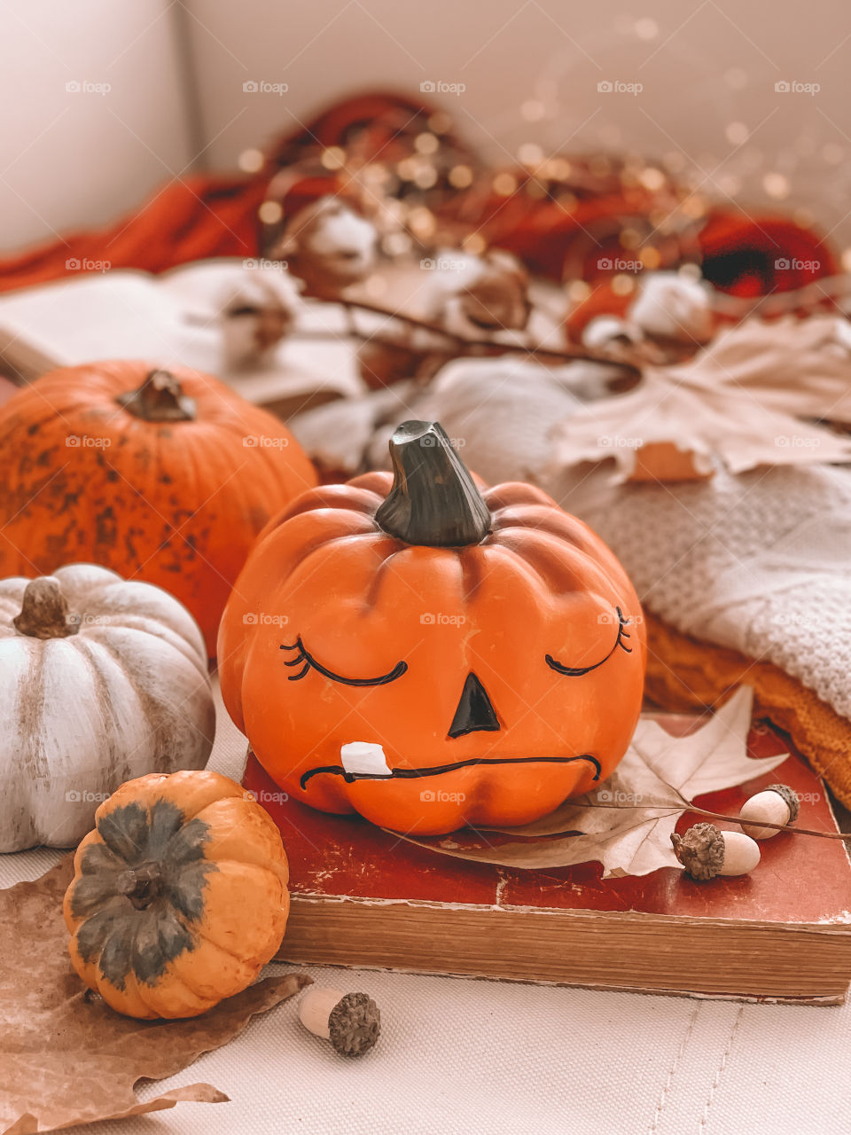 Halloween pumpkin. Autumn photo 