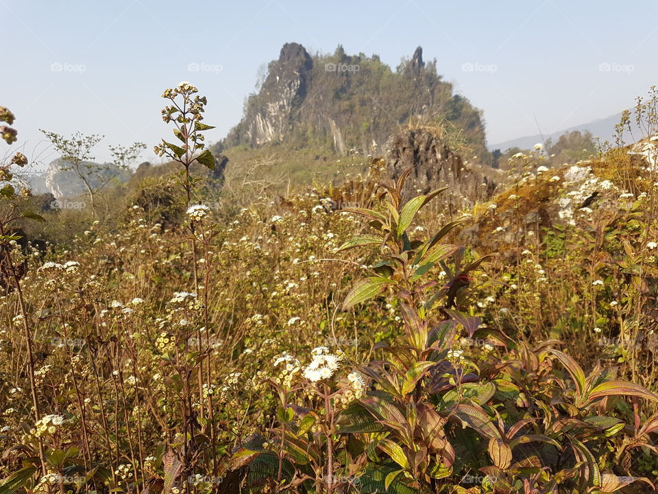 trekking in Sapa, Vietnam