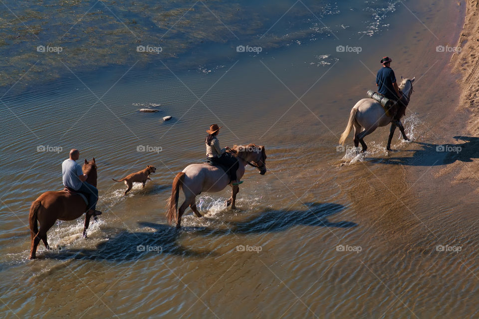 People riding on horses