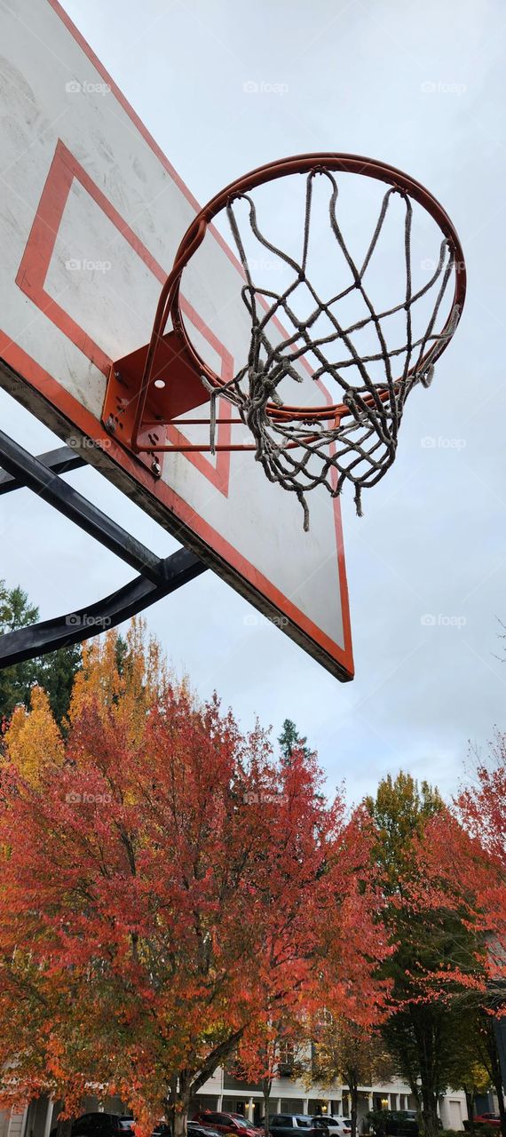 close up view of an orange basketball hoop with bright Autumn trees and colorful cars in the background at an Oregon park