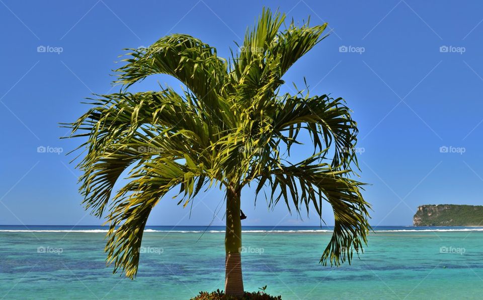 Beach Scene