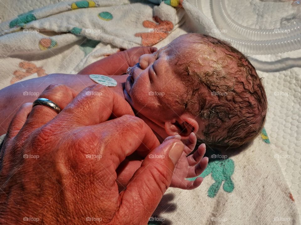 Father's Hand Holding Newborn Premature Infant