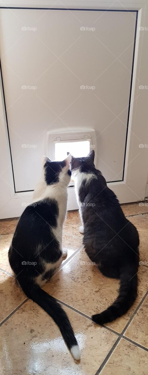 inspecting the route