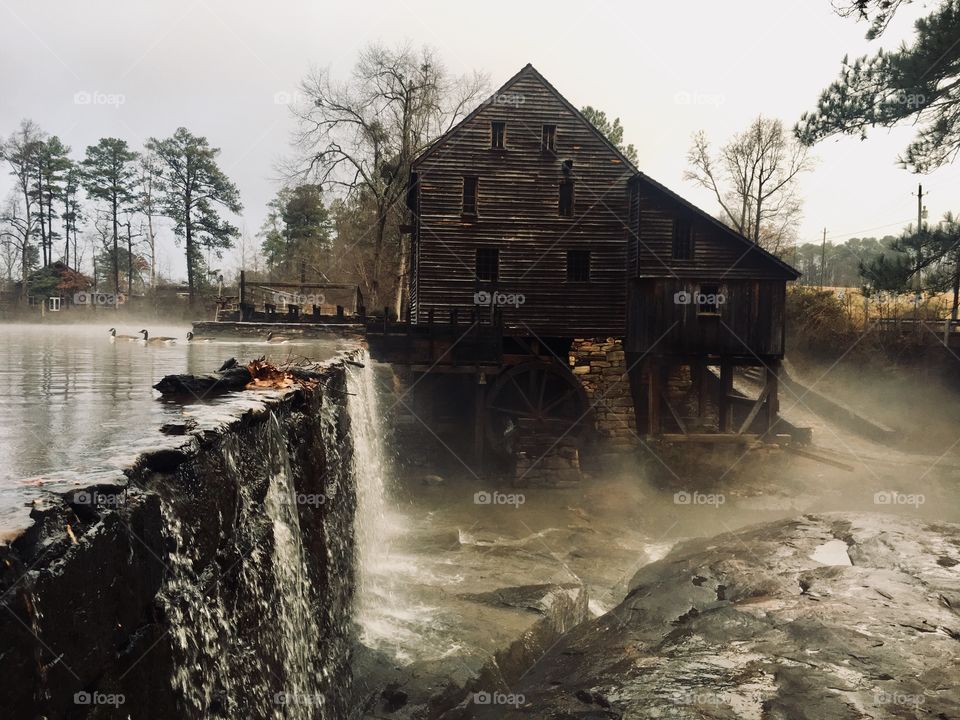 Geese and fog surround the mill and waterfall
