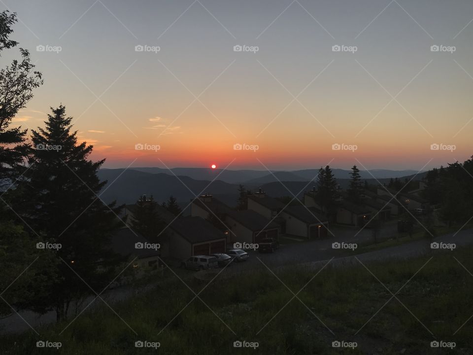 Sunset, Dawn, Fog, Landscape, Tree