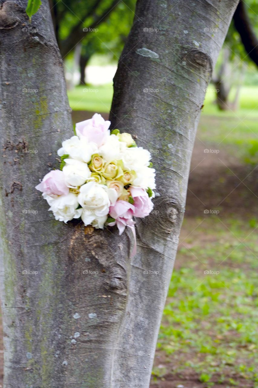 Bridal bouquet. Bridal bouquet in tree