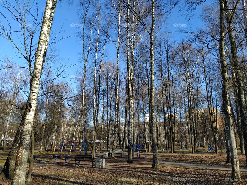 Осенний парк