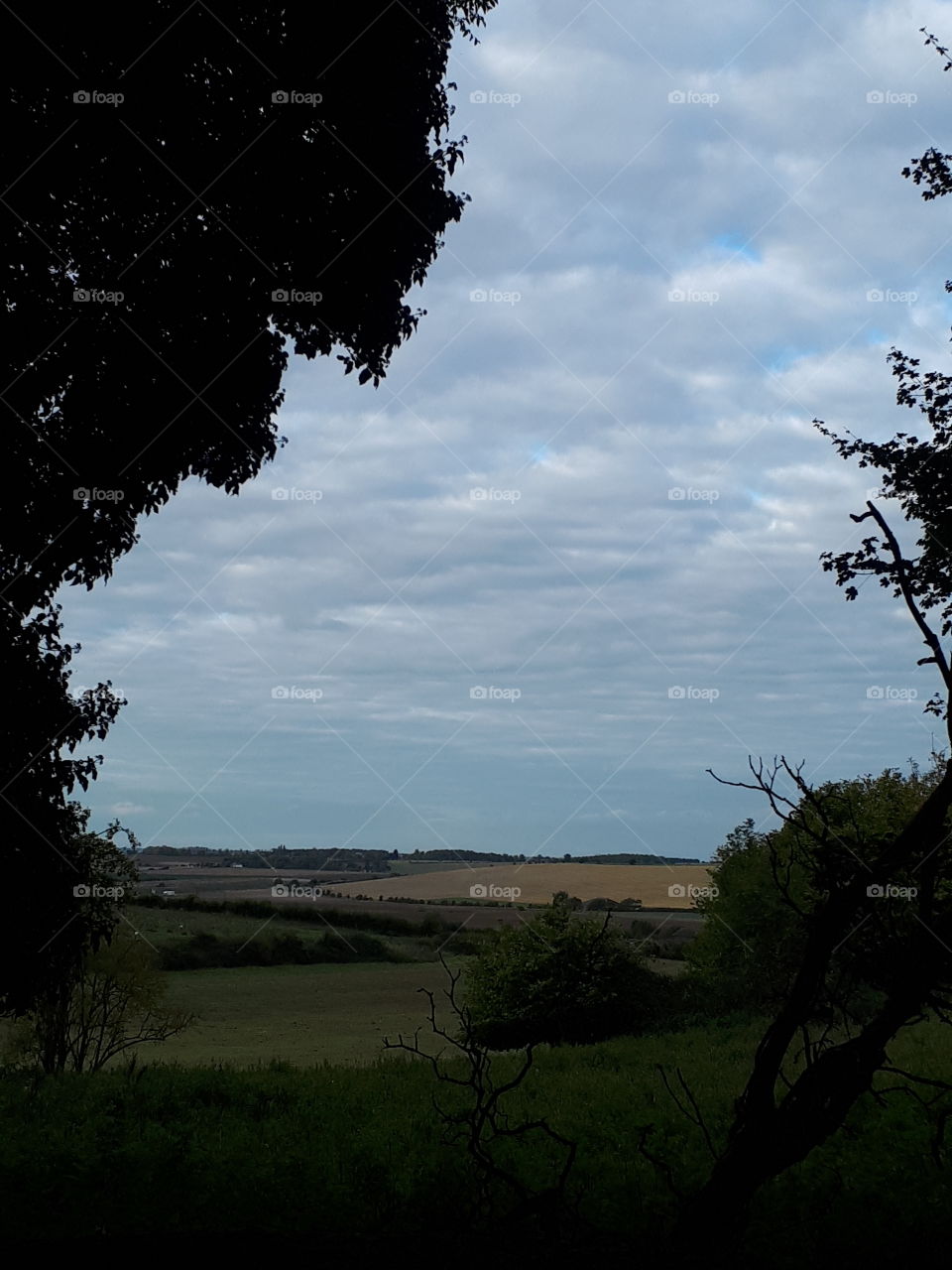 No Person, Tree, Landscape, Outdoors, Sky