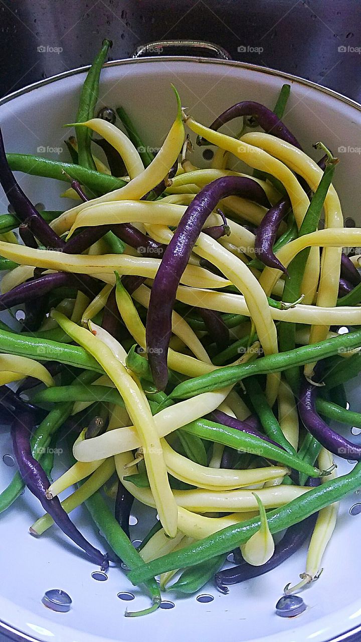 fresh beans green yellow wax red