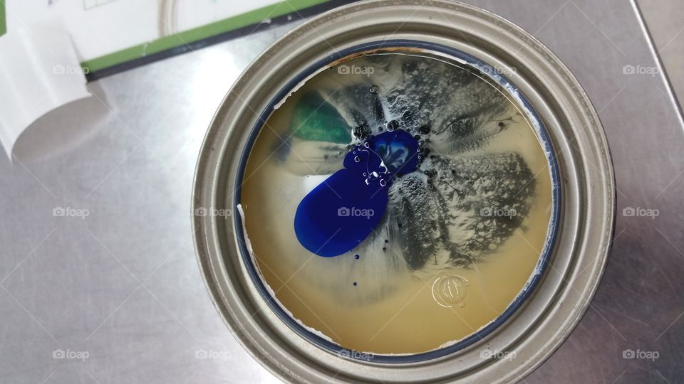 No Person, Indoors, Container, Grow, Food