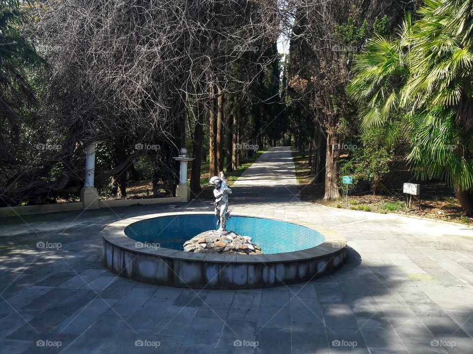 Tree, Park, Garden, Landscape, Guidance