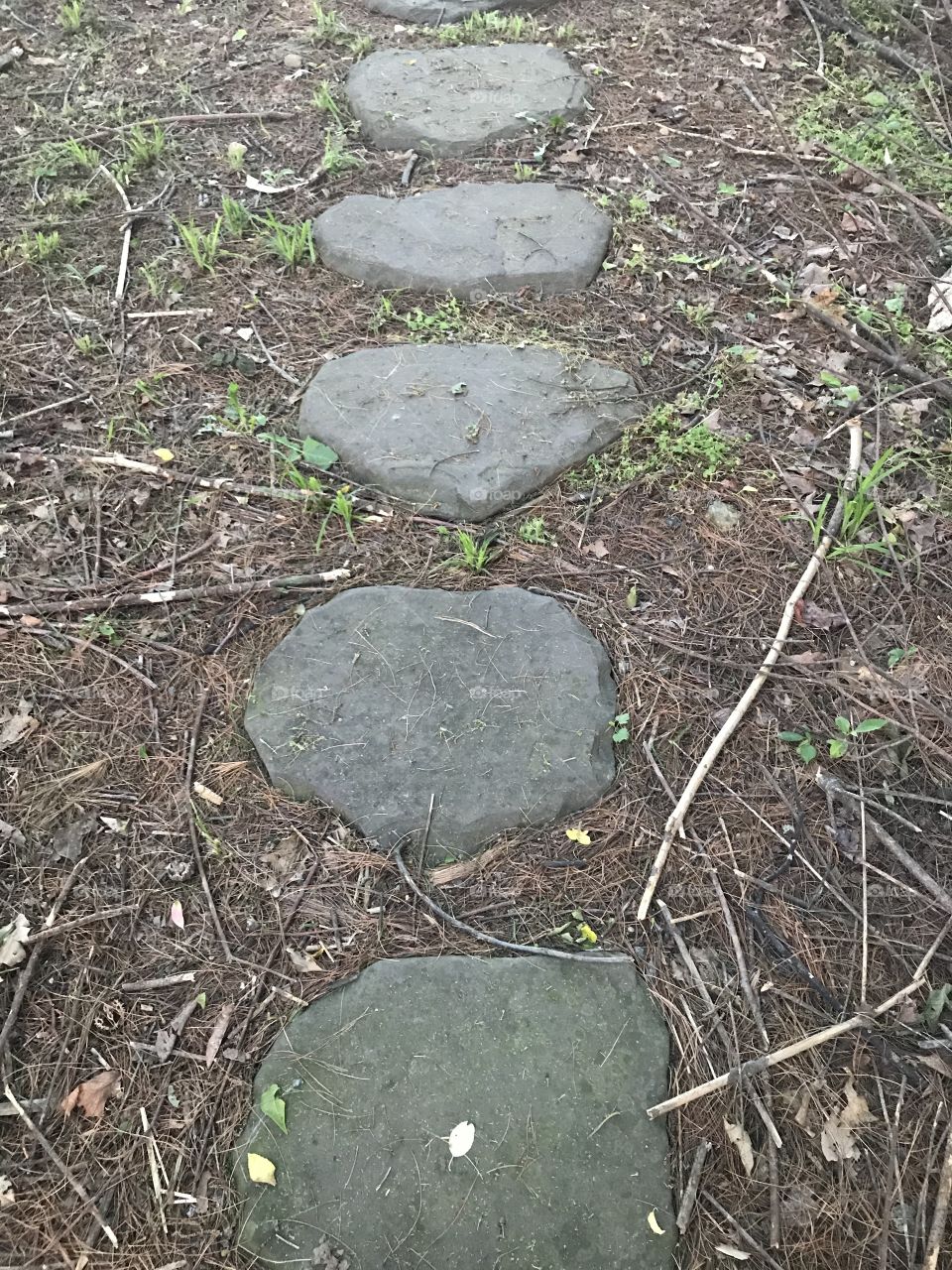 Stone, Nature, Ground, Grass, Rock