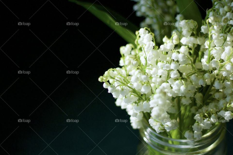 Isolated closeup of lily of the valley blossoms in a mason jar in sunlight