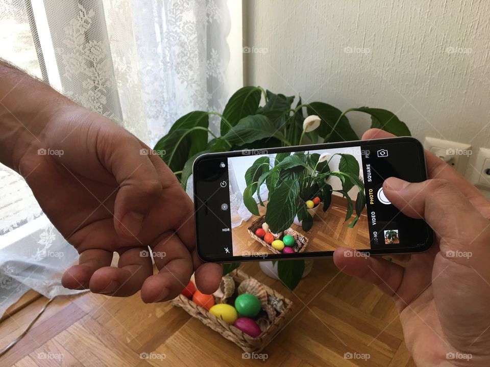 Easter of the photographer 