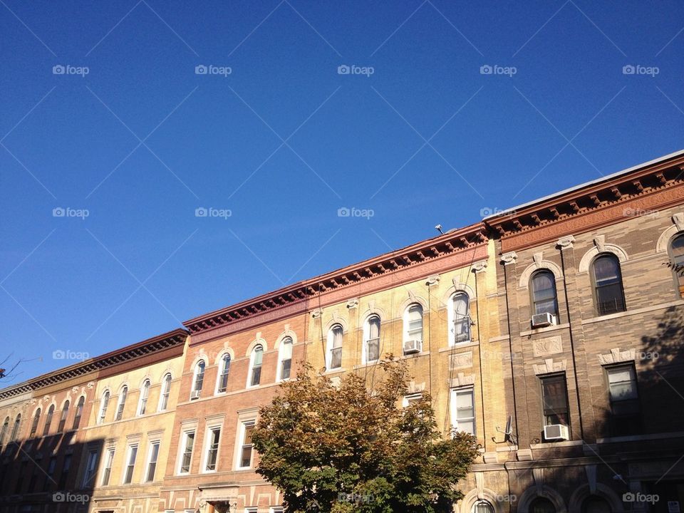 Clear skies, Brooklyn, NY