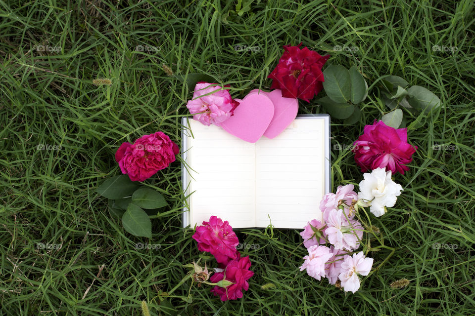 book love and roses on the green grass