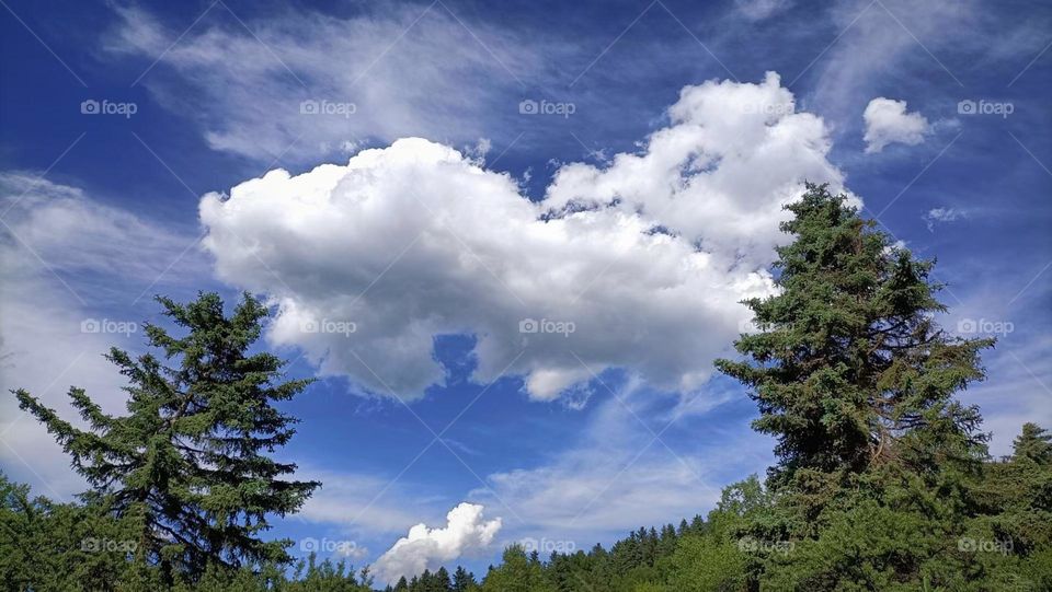 Beautiful cloud with blue sky 