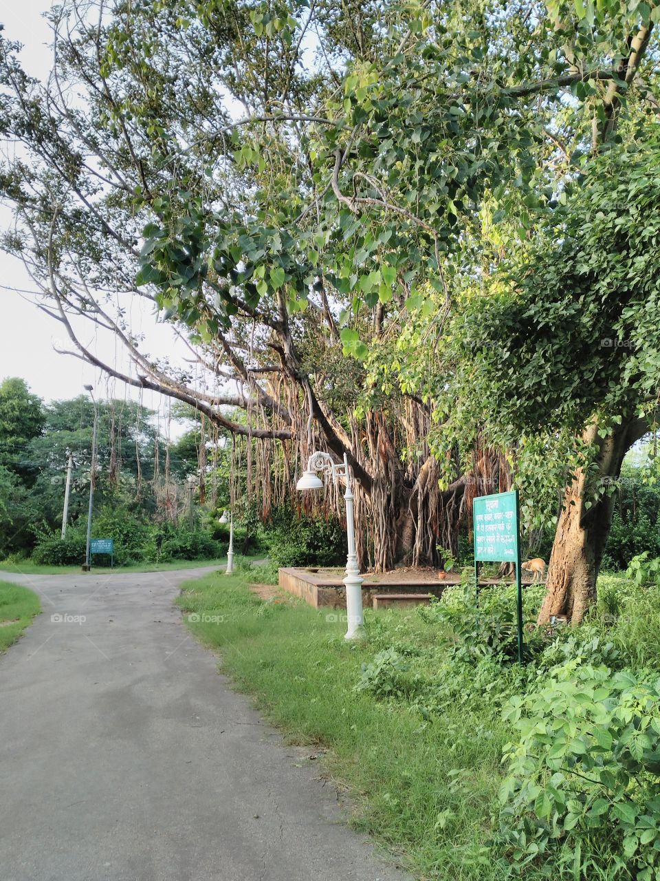 Empty street with communication board