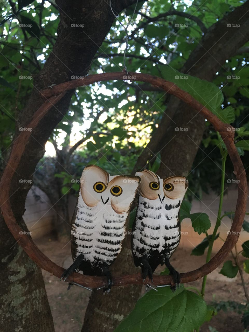 Olha só o casal de corujas que veio morar aqui. Ok, são decorativas, mas bem feirinhas!