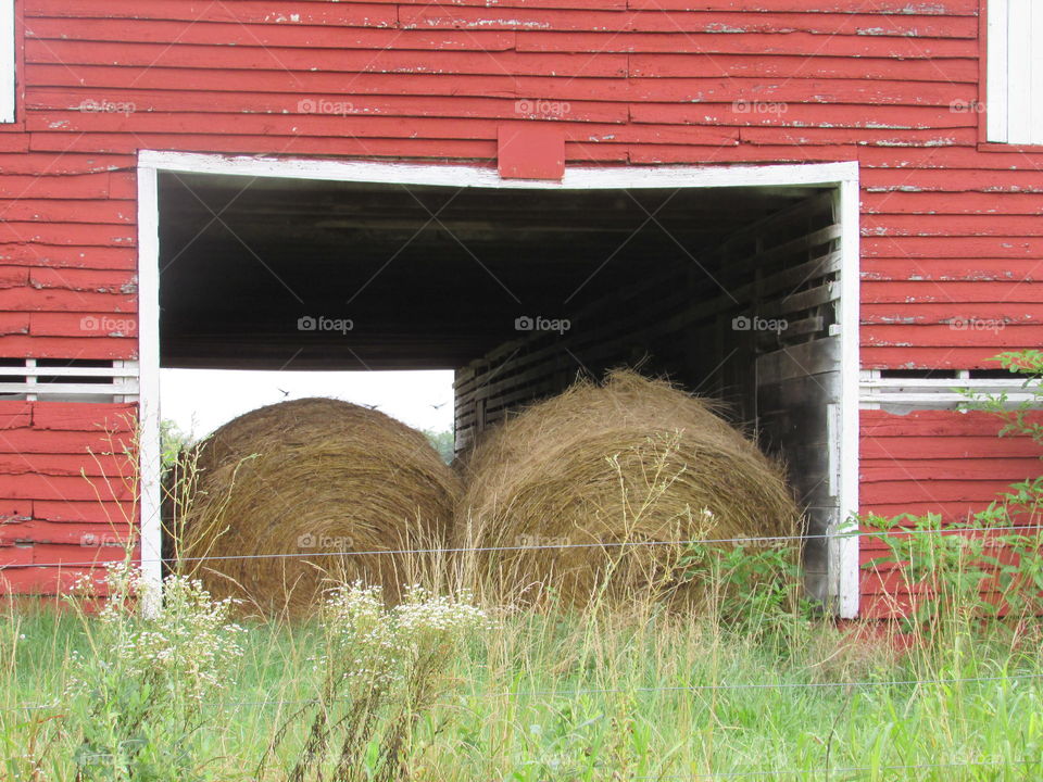 hay in the barn