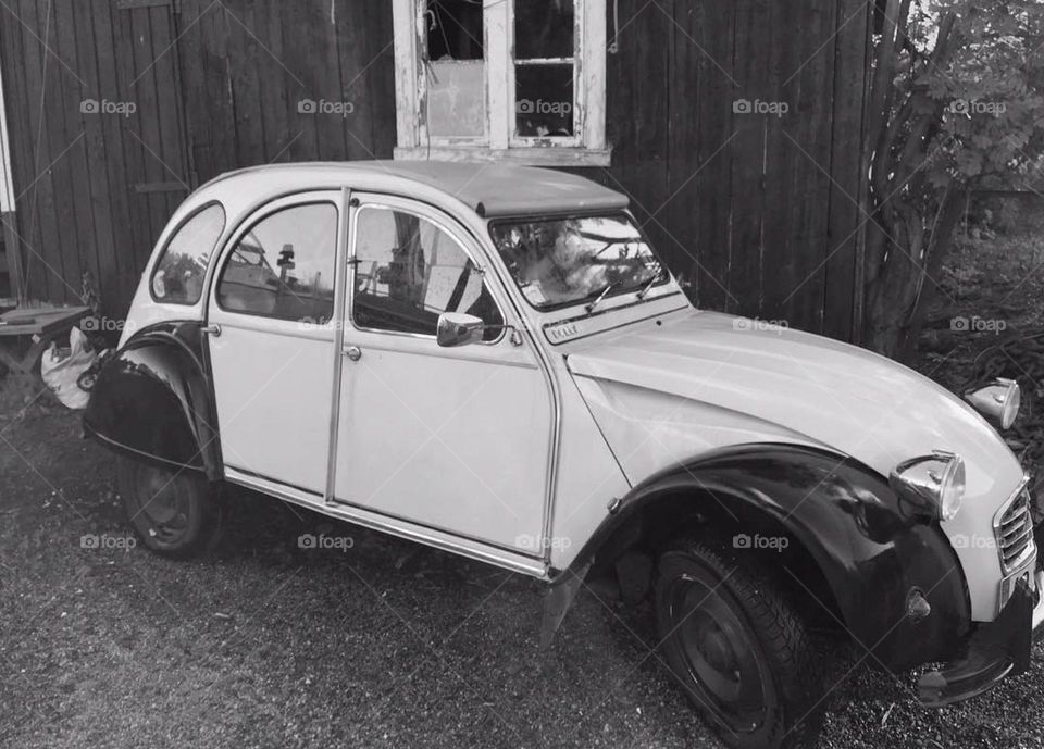 Time leaves its mark, but beauty endures