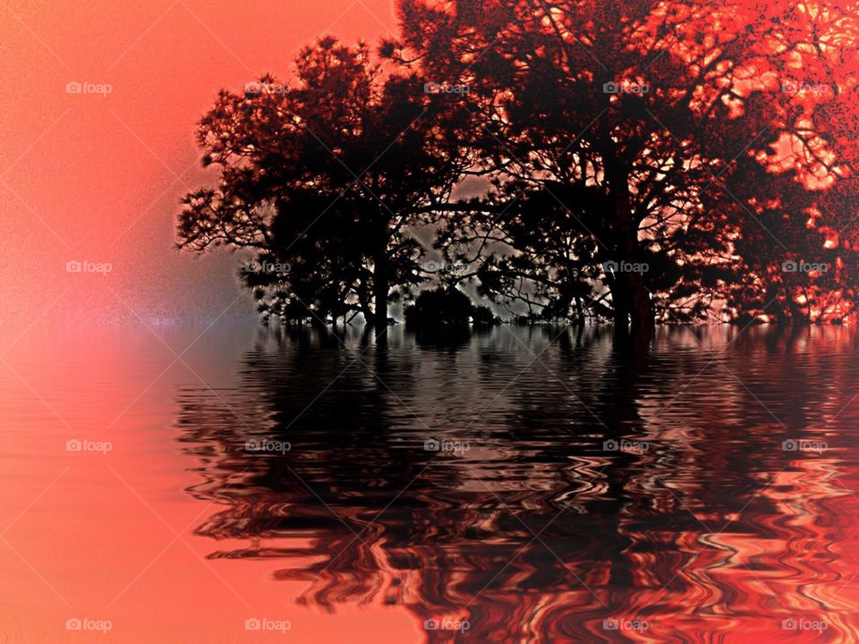 Melon Sky trees and water