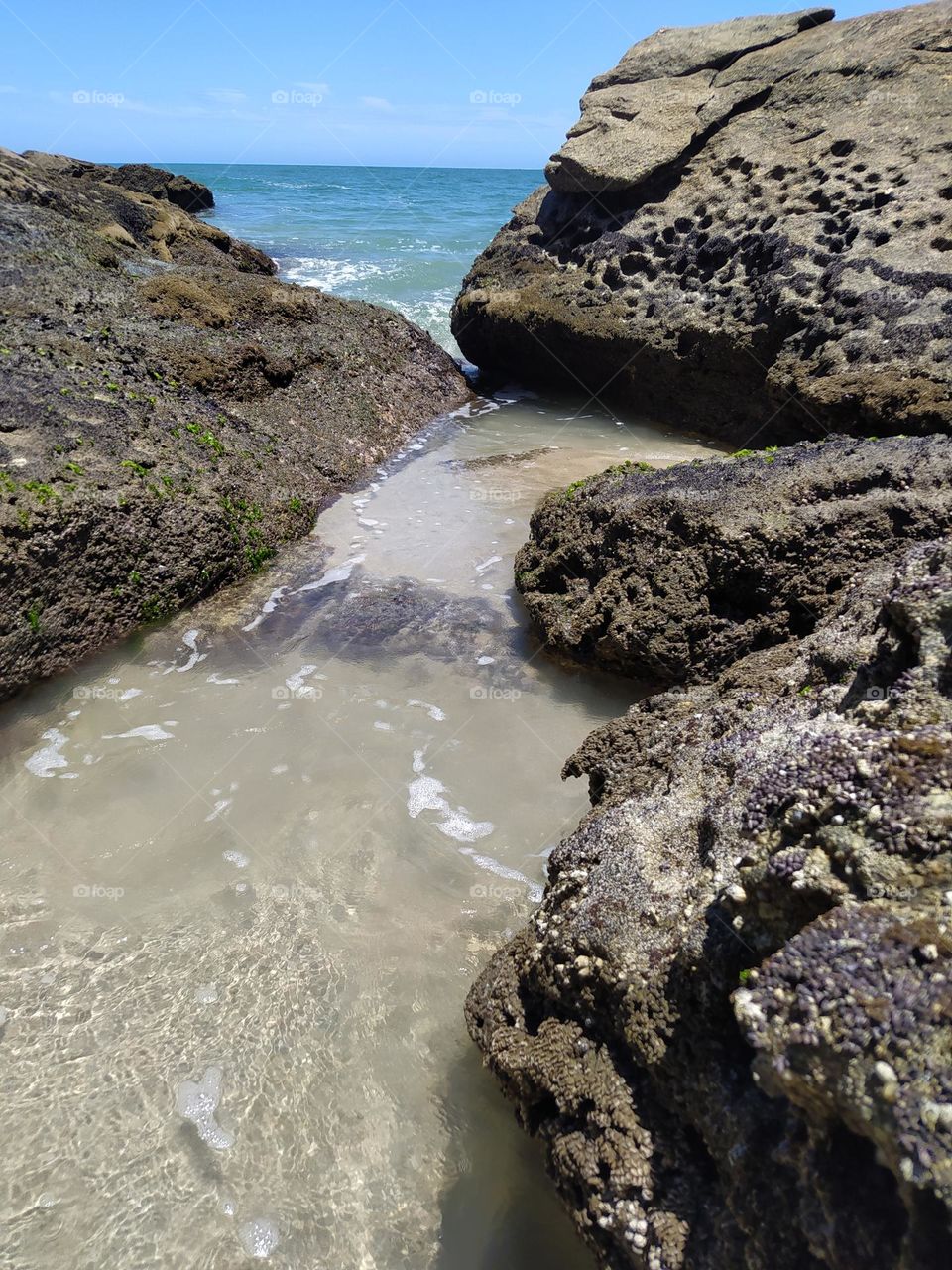 Praia do litoral norte Brasileiro.