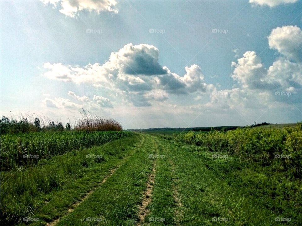 A walk in the fields