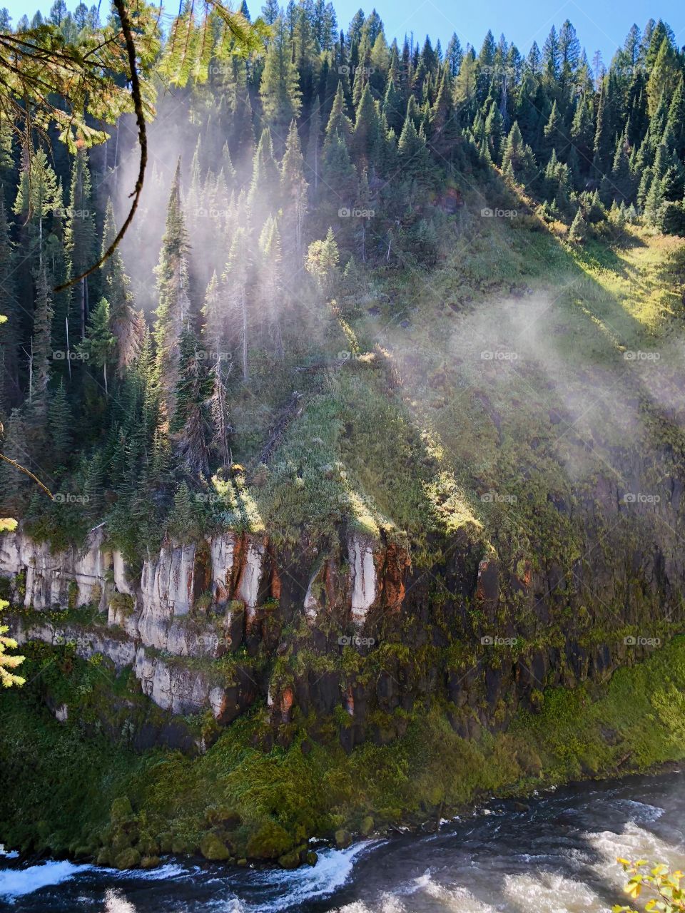 Waterfall mist in the forest