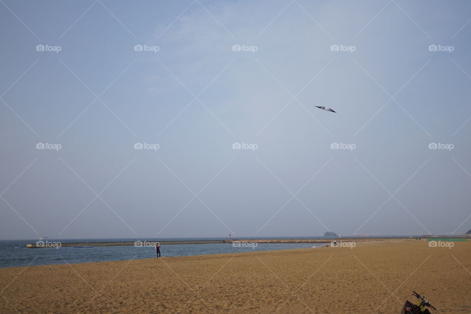 Seaside momochi beach park Fukuoka 