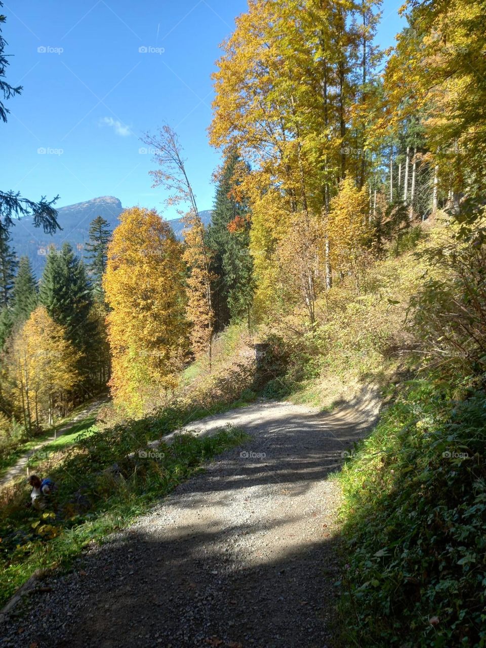 Mountain Trail in Early Autumn