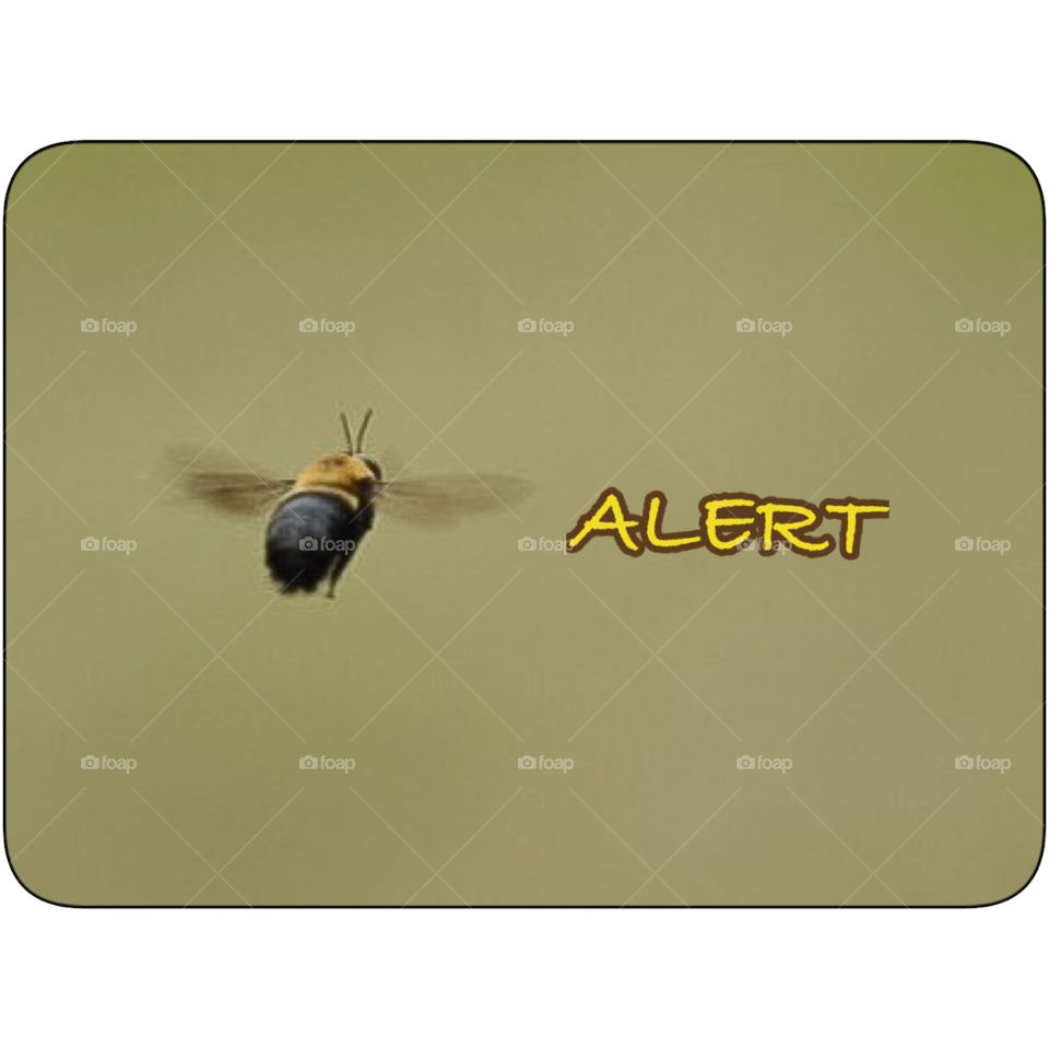 Darryl Wilson. Flying around 