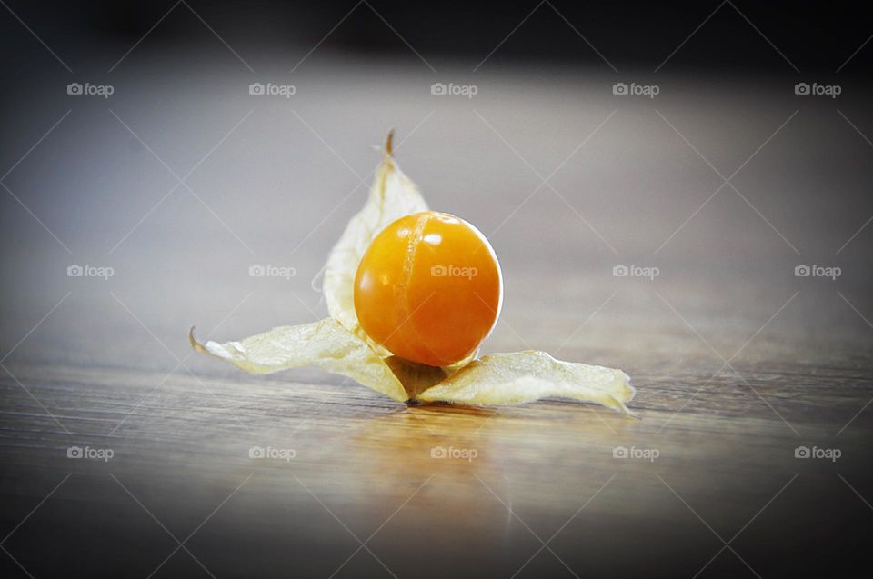 Physalis 3