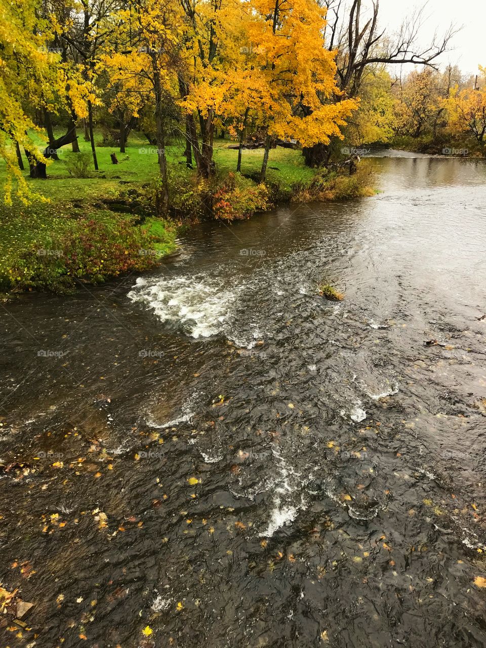 Ellicott Creek