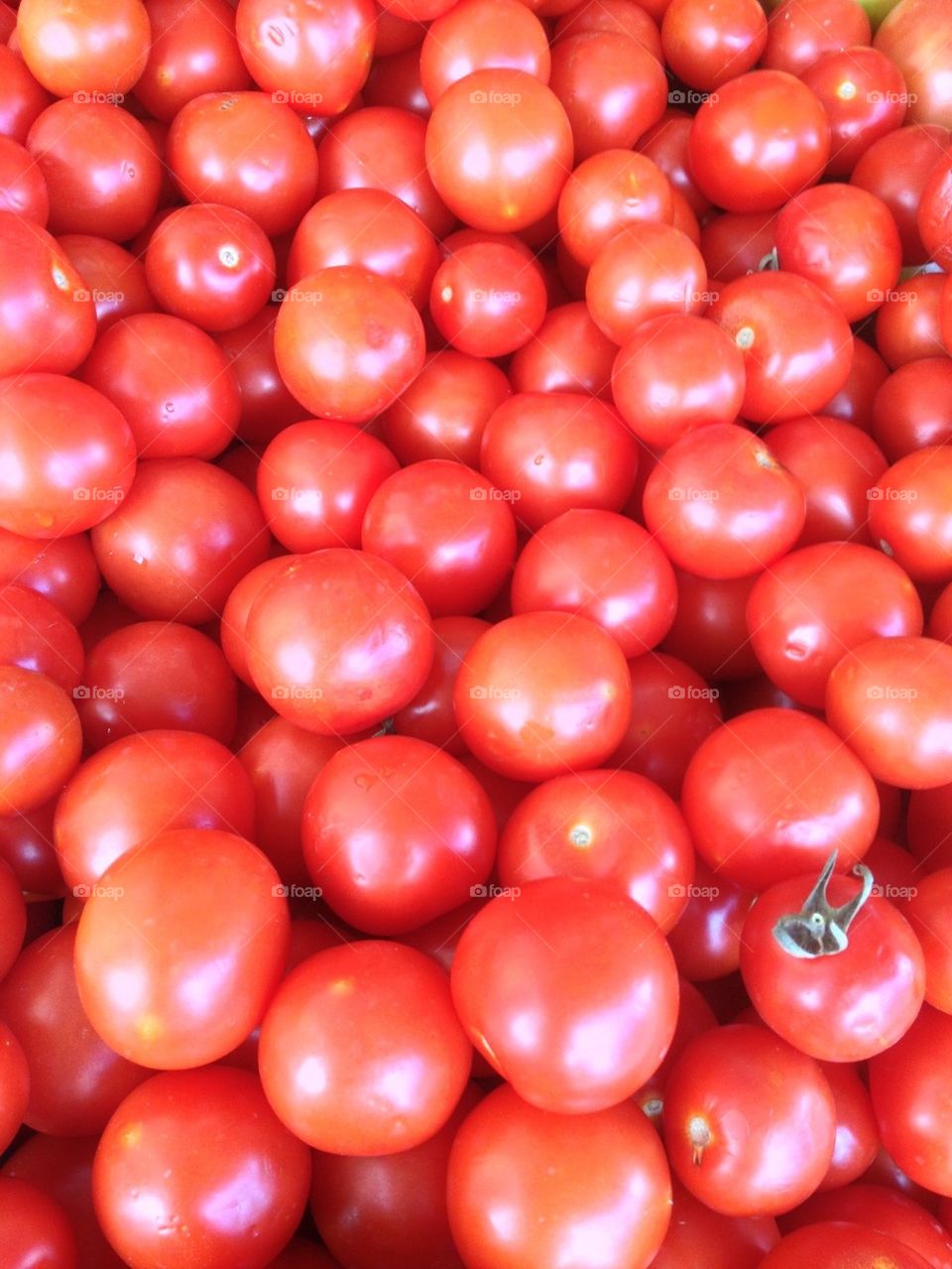 Tomatos