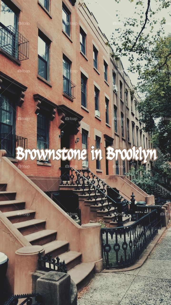 A slow walk through Brooklyn