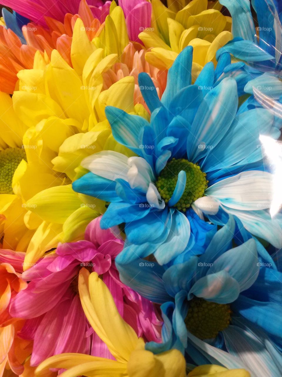 colorful bouquet 