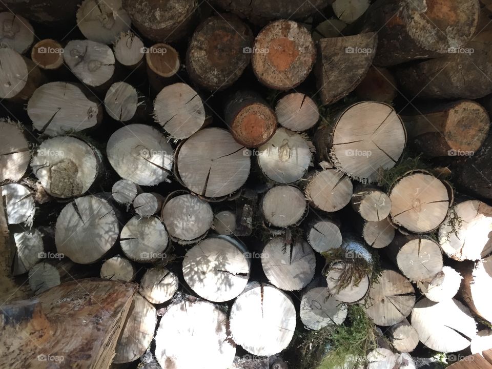 Stacked wood for winter