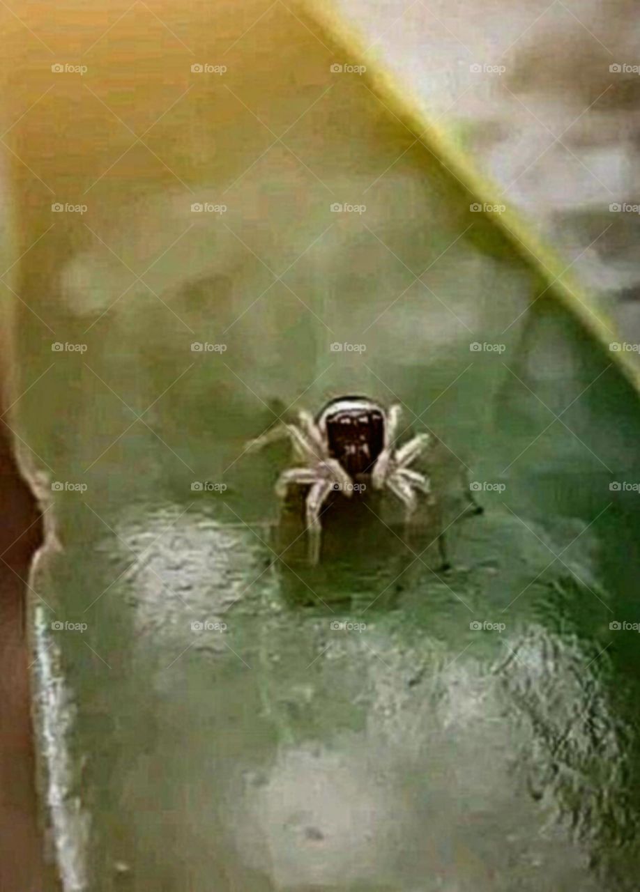 A beautiful and attractive view in the garden.