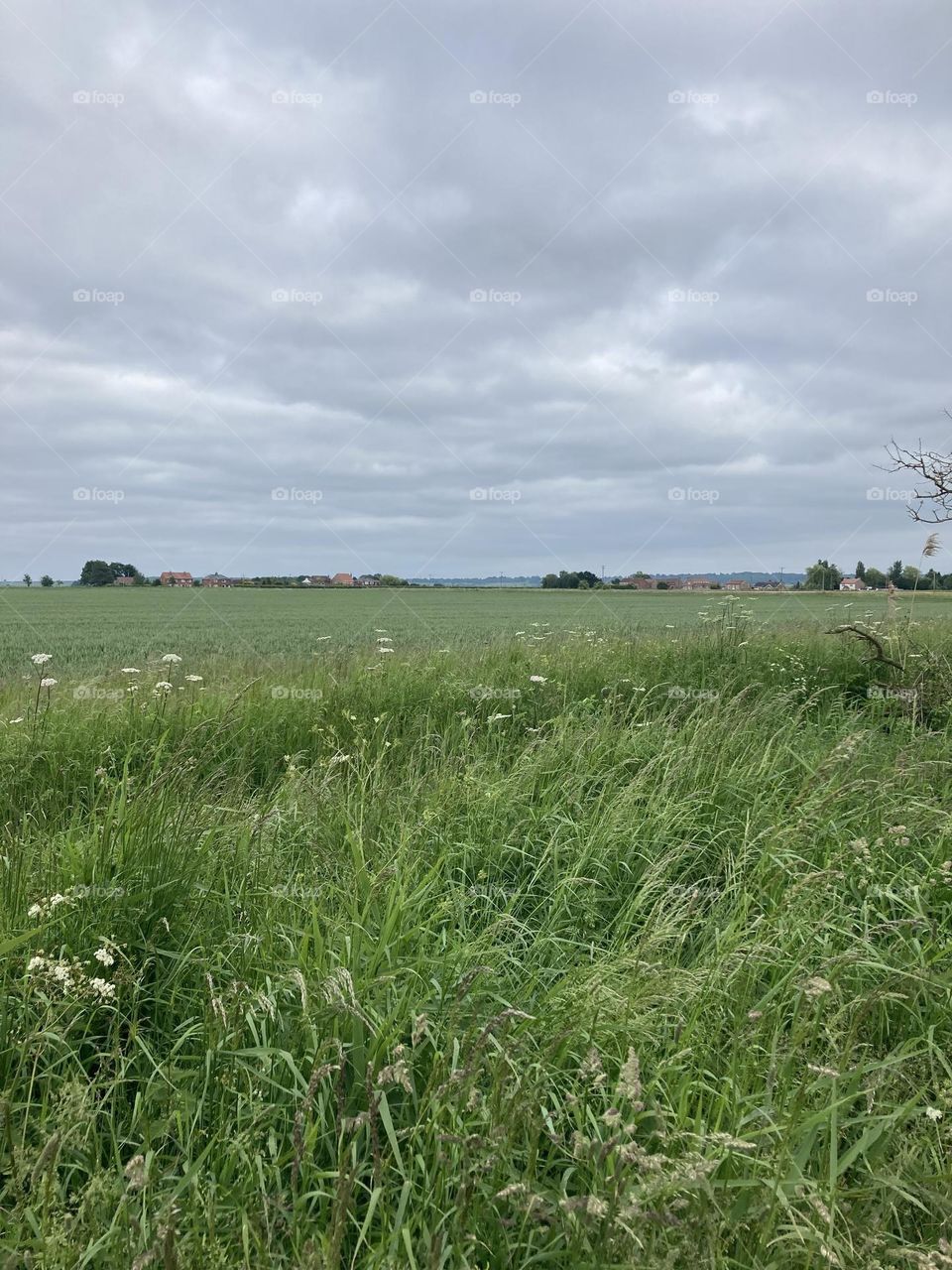 Beautiful countryside 