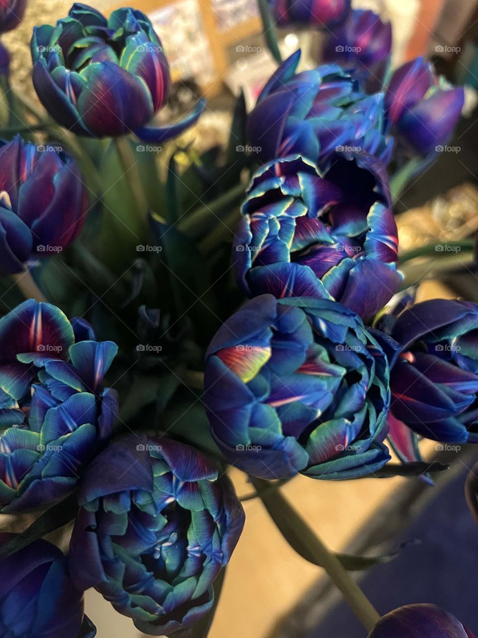Tulips 