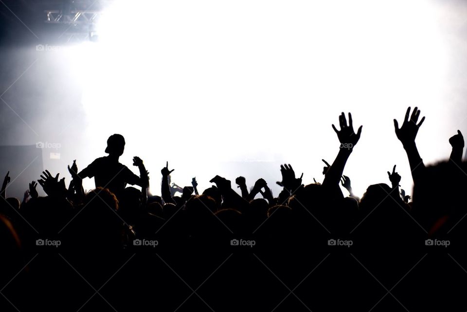 celebrating crowd of people at festival concert or party