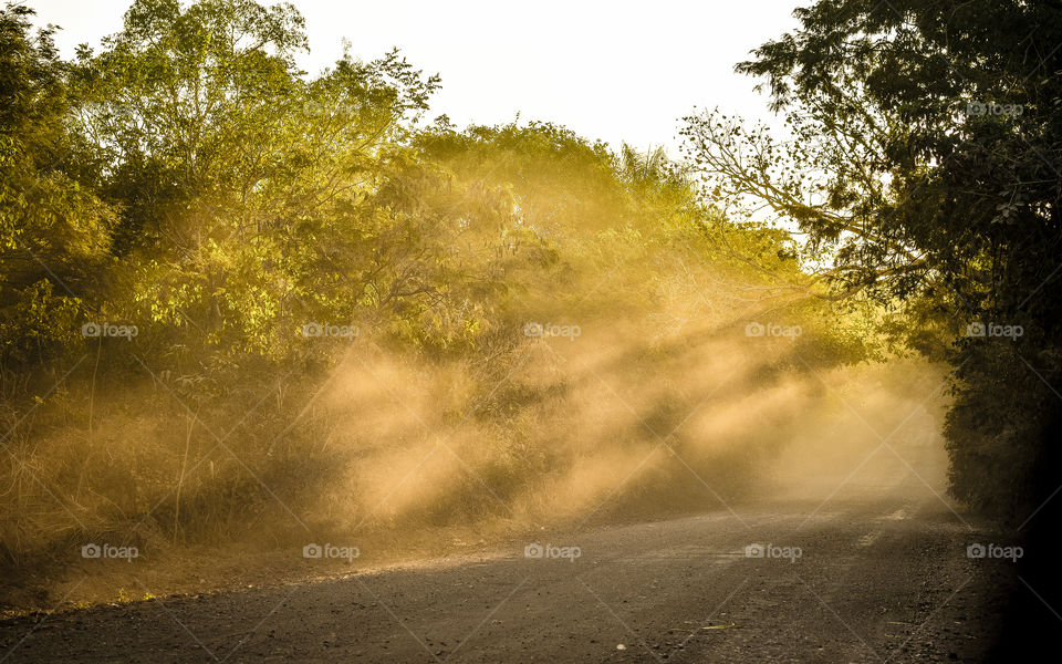 Sunrise on the road