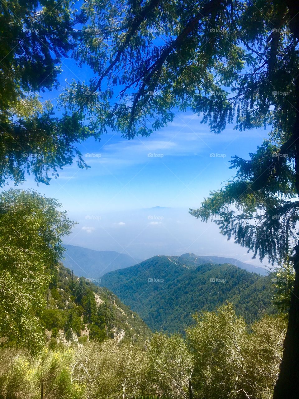 View from Mount Wilson