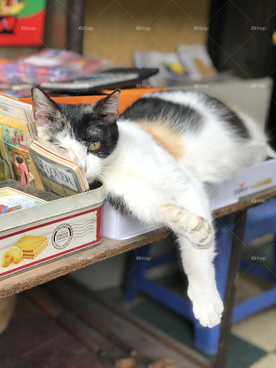 Lazy bookseller