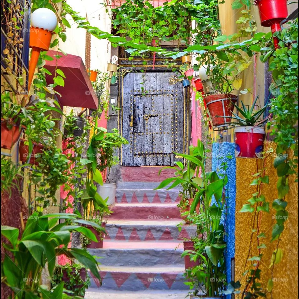 decorating intelligence