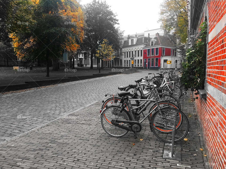 A path in Groningen