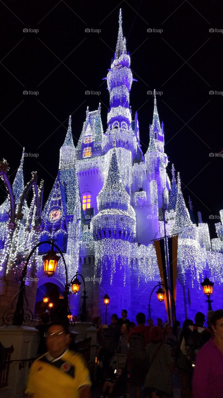 Cinderella's frozen castle