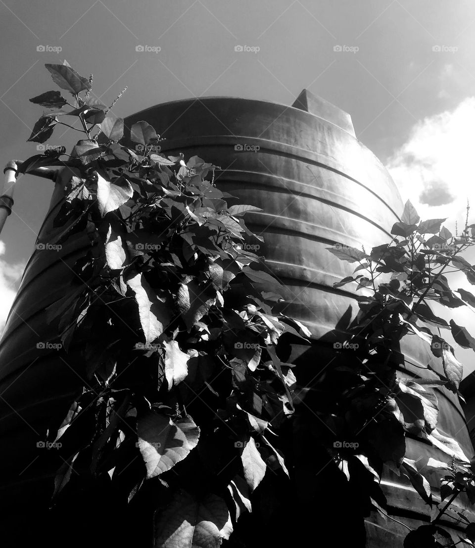 summer is here, utilizes the season to capture beautiful moments 