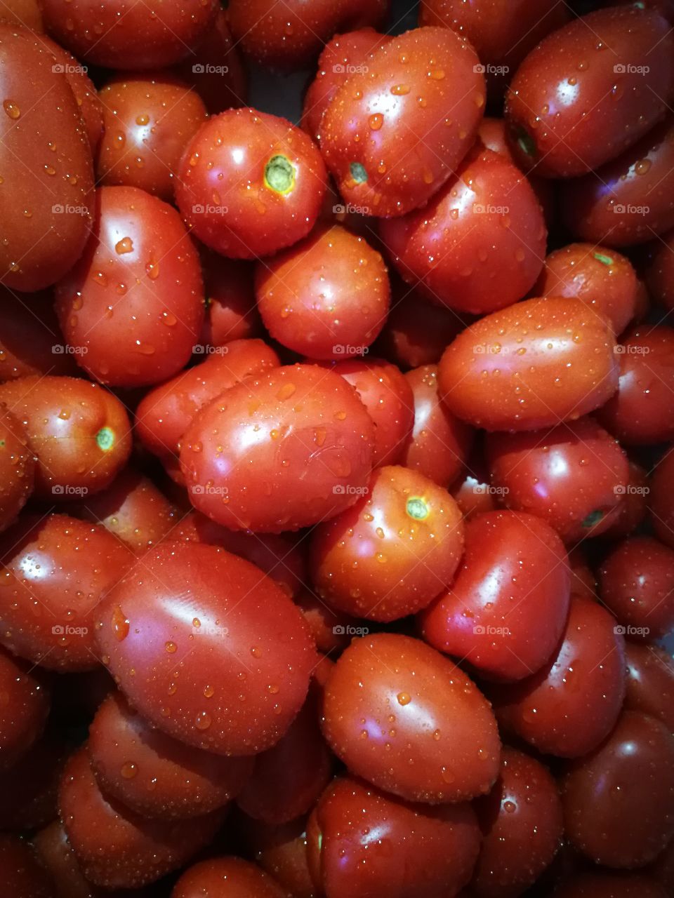 Tomatoes sauce season